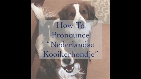 how to pronounce nederlandse kooikerhondje